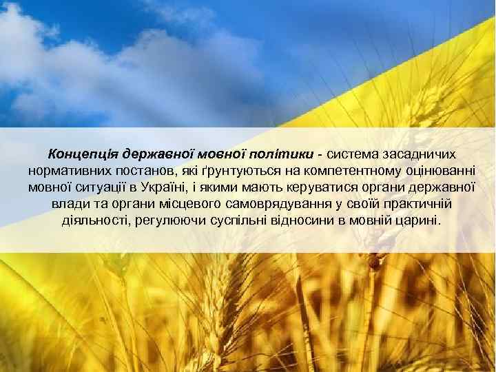 Концепція державної мовної політики - система засадничих нормативних постанов, які ґрунтуються на компетентному оцінюванні