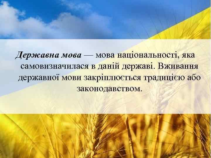 Державна мова — мова національності, яка самовизначилася в даній державі. Вживання державної мови закріплюється