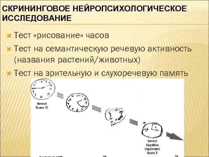СКРИНИНГОВОЕ НЕЙРОПСИХОЛОГИЧЕСКОЕ ИССЛЕДОВАНИЕ Тест «рисование» часов Тест на семантическую речевую активность (названия растений/животных) Тест