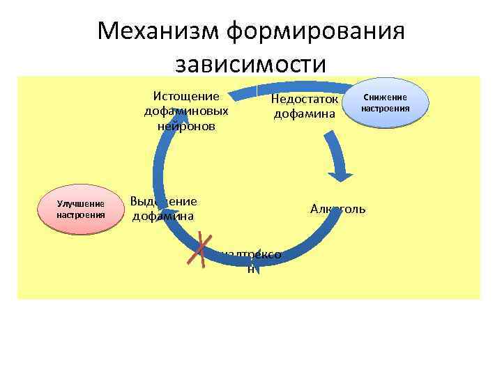 Развитие зависимостей