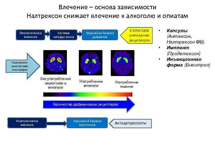 Влечение – основа зависимости Налтрексон снижает влечение к алкоголю и опиатам Патологическое влечение Система