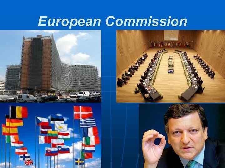 European Commission 