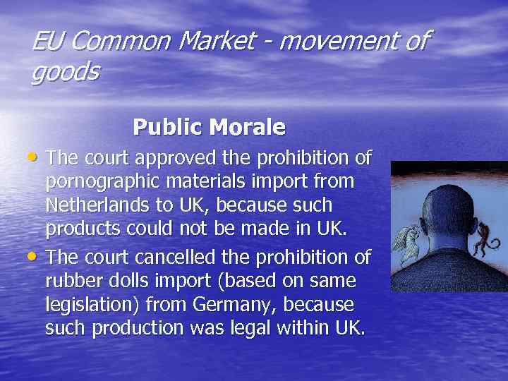 EU Common Market - movement of goods Public Morale • The court approved the