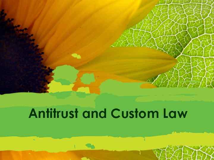 Antitrust and Custom Law 