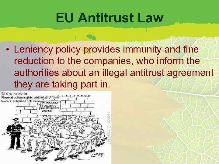 EU Antitrust Law • Leniency policy provides immunity and fine reduction to the companies,