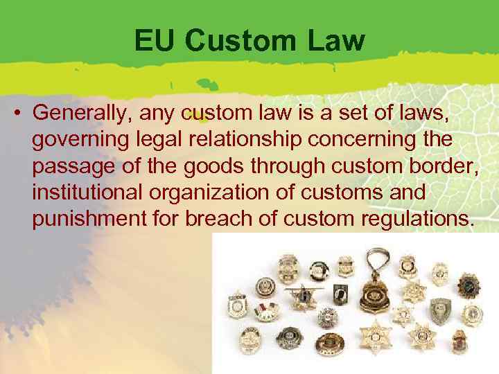 EU Custom Law • Generally, any custom law is a set of laws, governing