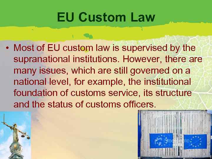 EU Custom Law • Most of EU custom law is supervised by the supranational