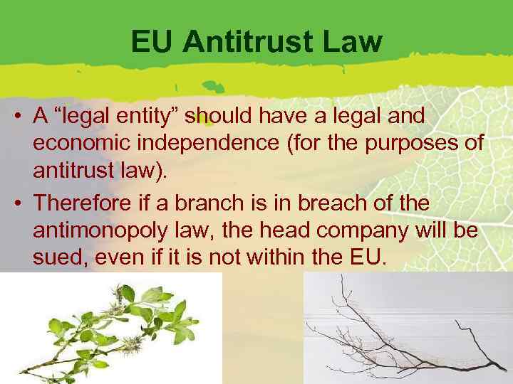 EU Antitrust Law • A “legal entity” should have a legal and economic independence