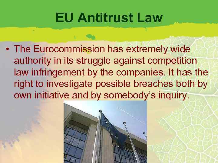 EU Antitrust Law • The Eurocommission has extremely wide authority in its struggle against