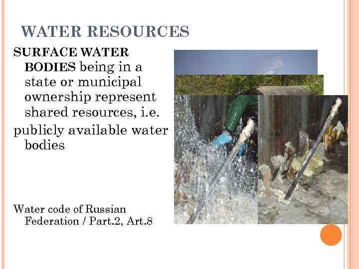 WATER RESOURCES SURFACE WATER BODIES being in a state or municipal ownership represent shared