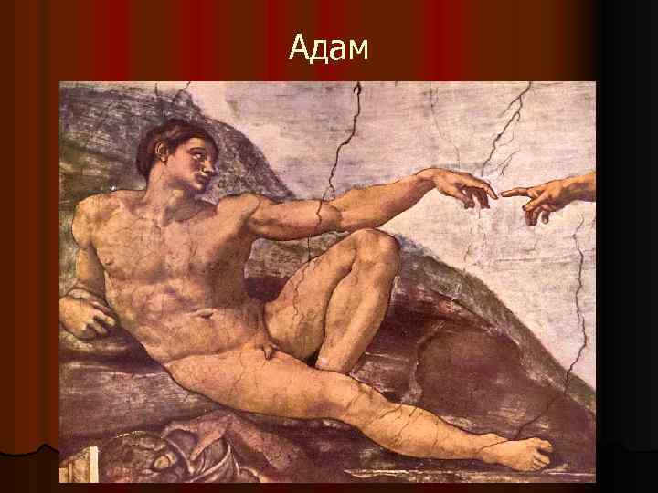 Адам 