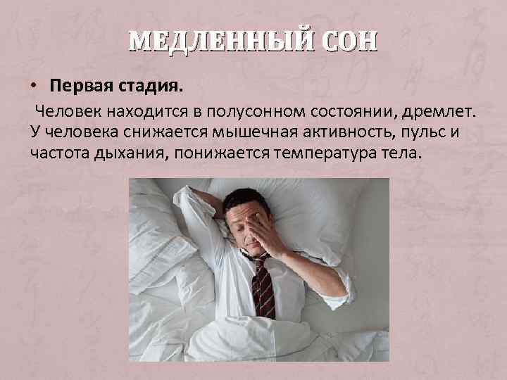 МЕДЛЕННЫЙ СОН • Первая стадия. Человек находится в полусонном состоянии, дремлет. У человека снижается