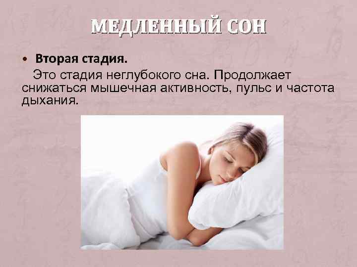 МЕДЛЕННЫЙ СОН • Вторая стадия. Это стадия неглубокого сна. Продолжает снижаться мышечная активность, пульс
