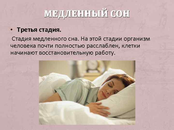 МЕДЛЕННЫЙ СОН • Третья стадия. Стадия медленного сна. На этой стадии организм человека почти