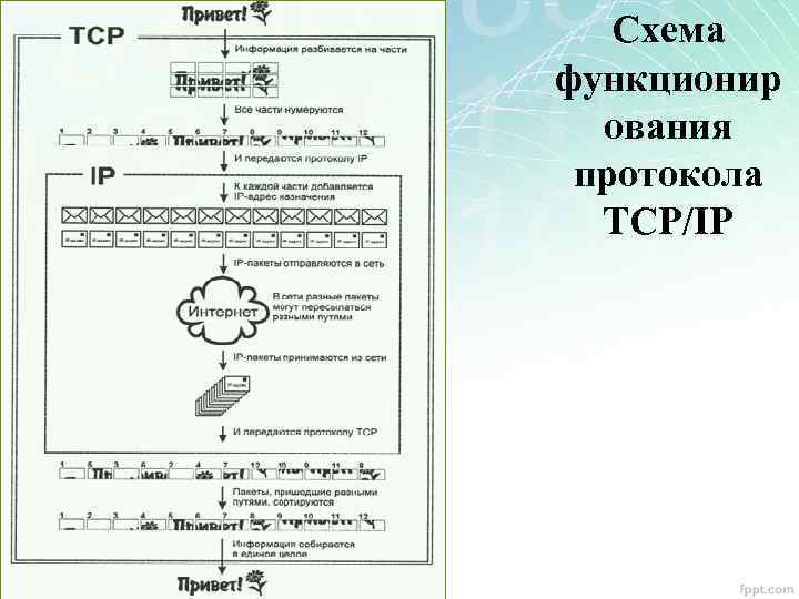 Схема функционир ования протокола TCP/IP 