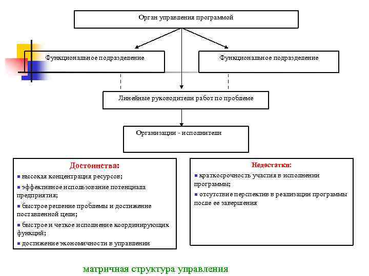 Орган управления программой Функциональное подразделение Линейные руководители работ по проблеме Организации - исполнители Достоинства: