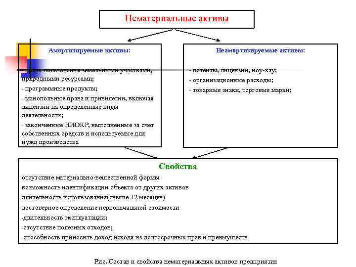 Нематериальные активы Амортизируемые активы: права пользования земельными участками, природными ресурсами; - программные продукты; -