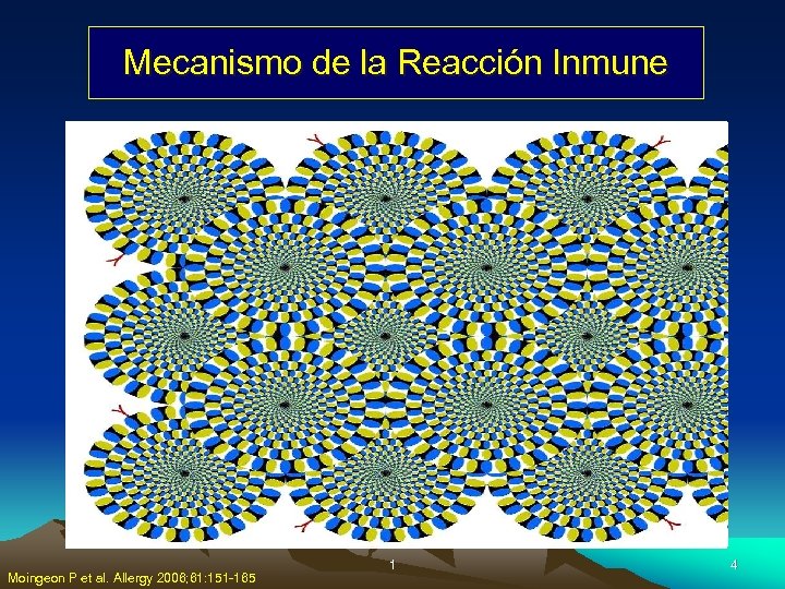 Mecanismo de la Reacción Inmune Moingeon P et al. Allergy 2006; 61: 151 -165