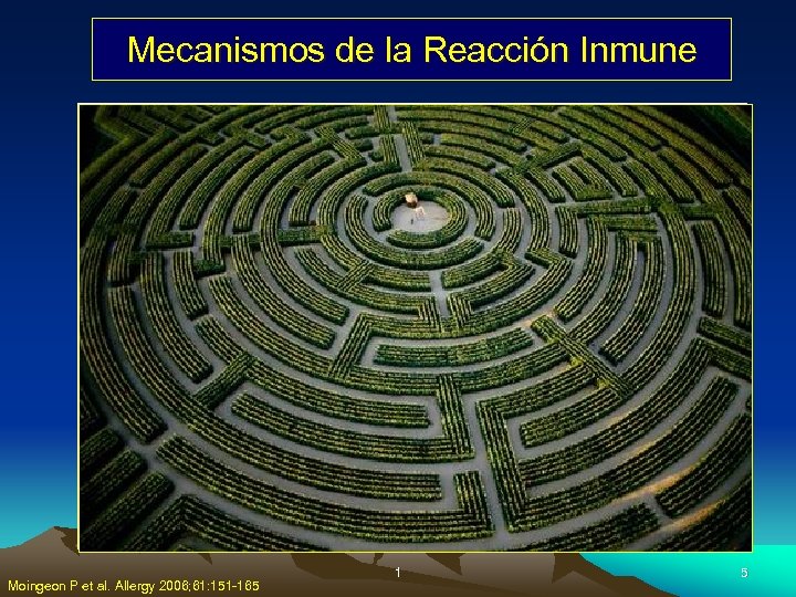 Mecanismos de la Reacción Inmune Moingeon P et al. Allergy 2006; 61: 151 -165