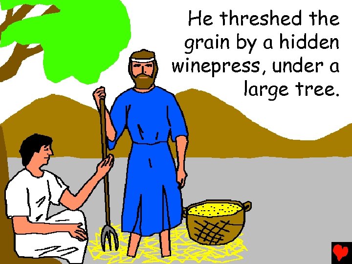 He threshed the grain by a hidden winepress, under a large tree. 