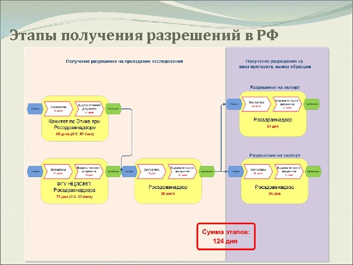 Этапы получения разрешений в РФ 