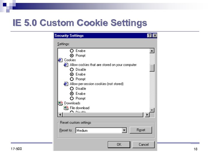 IE 5. 0 Custom Cookie Settings 17 -500 16 