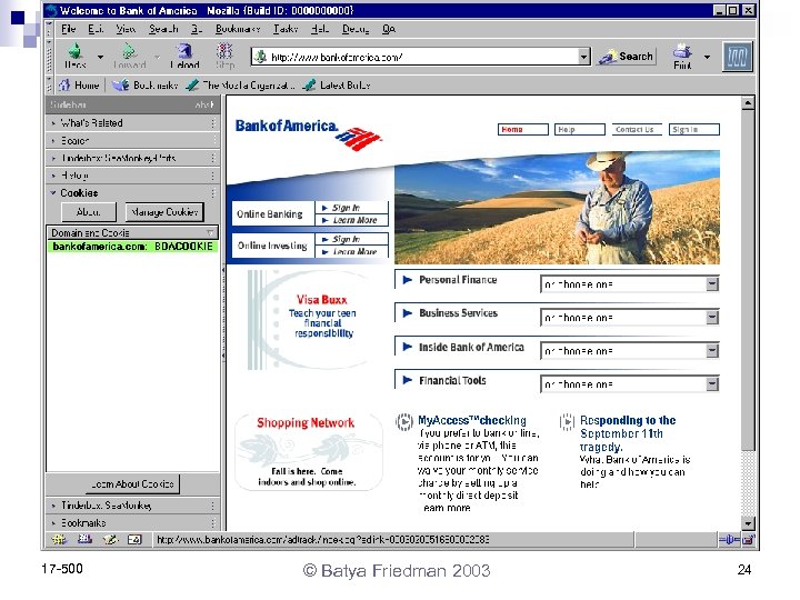 17 -500 © Batya Friedman 2003 24 