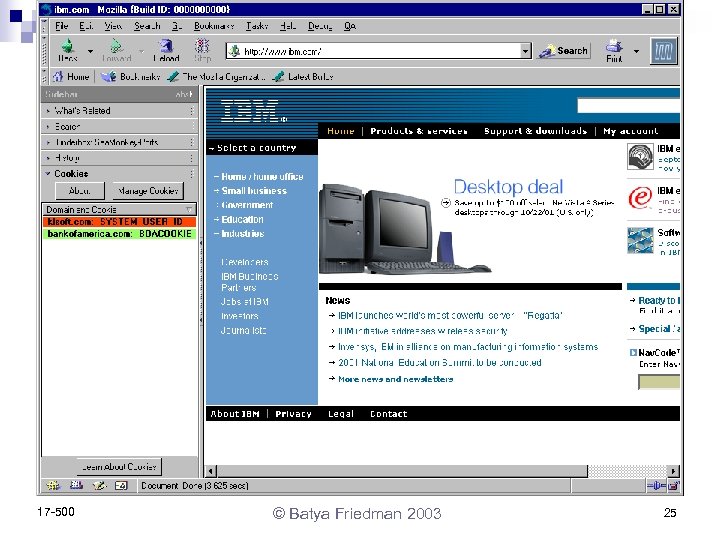 17 -500 © Batya Friedman 2003 25 