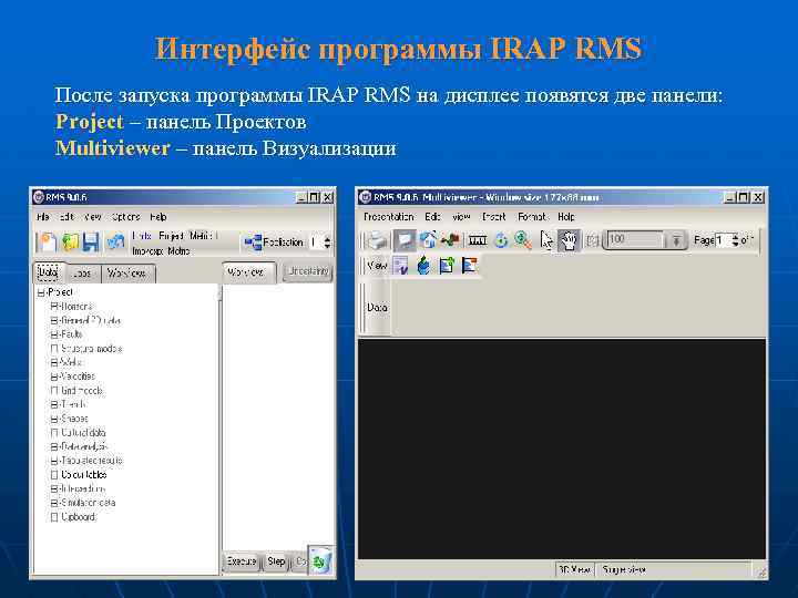 Интерфейс программы IRAP RMS После запуска программы IRAP RMS на дисплее появятся две панели: