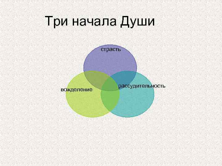 Три начала Души страсть вожделение рассудительность 