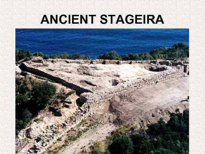 ANCIENT STAGEIRA 