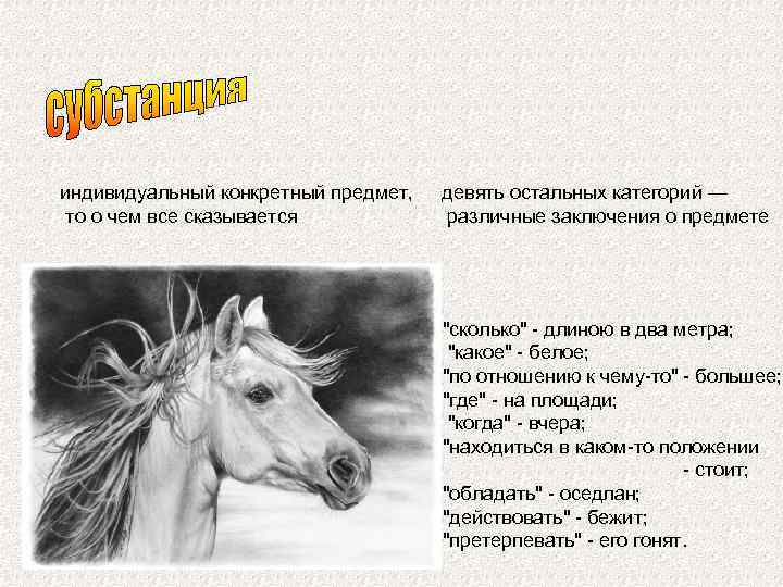 индивидуальный конкретный предмет, то о чем все сказывается девять остальных категорий — различные заключения