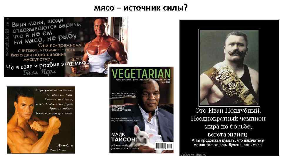 мясо – источник силы? 