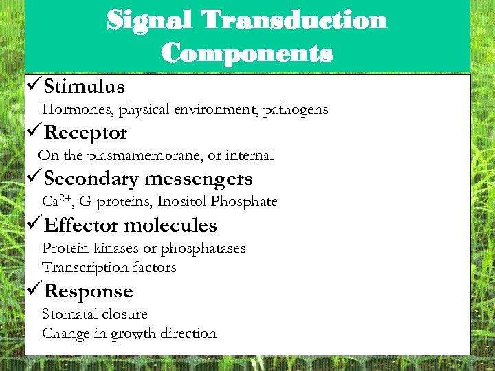 Signal Transduction Components üStimulus Hormones, physical environment, pathogens üReceptor On the plasmamembrane, or internal