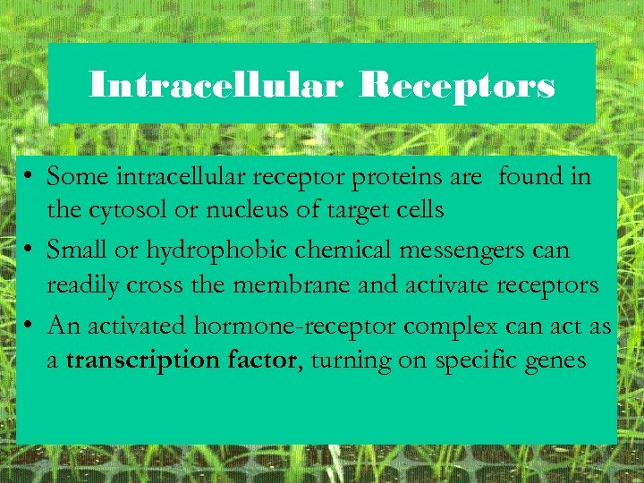 Intracellular Receptors • Some intracellular receptor proteins are found in the cytosol or nucleus