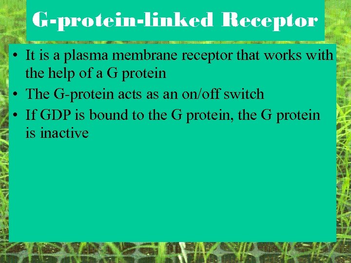G-protein-linked Receptor • It is a plasma membrane receptor that works with the help