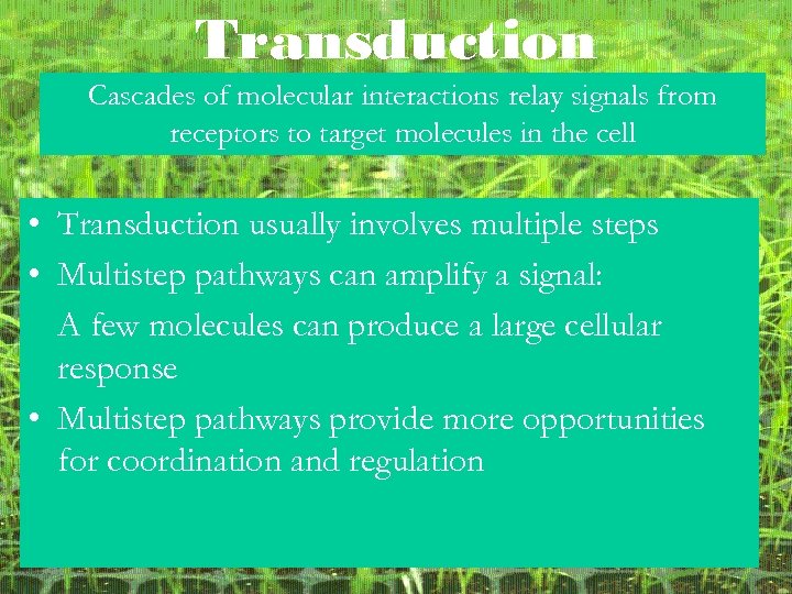 Transduction Cascades of molecular interactions relay signals from receptors to target molecules in the
