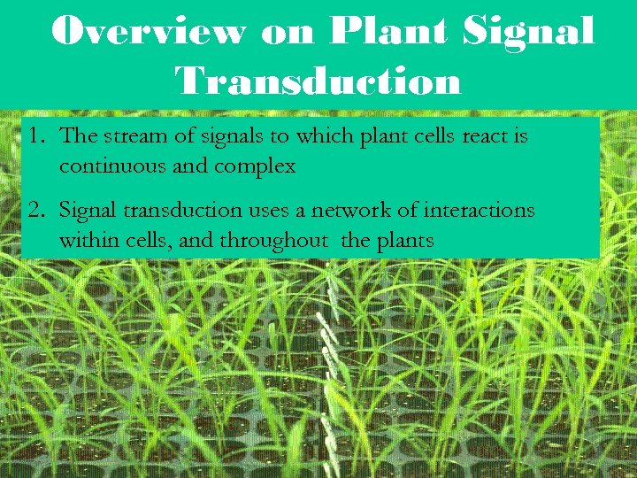 Overview on Plant Signal Transduction 1. The stream of signals to which plant cells