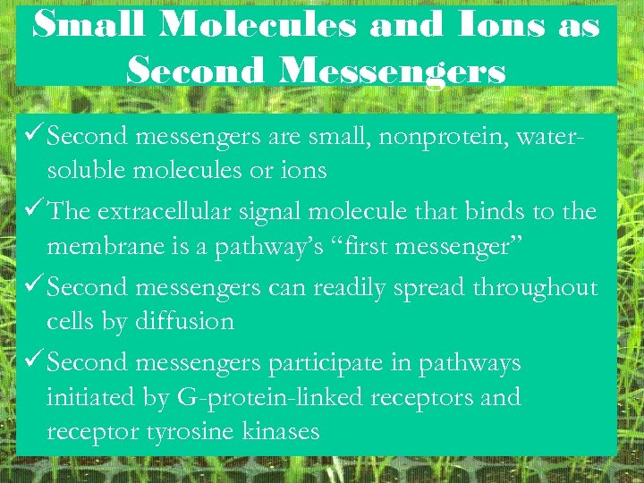 Small Molecules and Ions as Second Messengers ü Second messengers are small, nonprotein, watersoluble