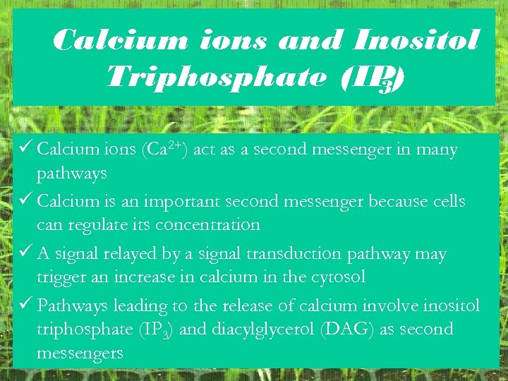 Calcium ions and Inositol Triphosphate (IP) 3 ü Calcium ions (Ca 2+) act as