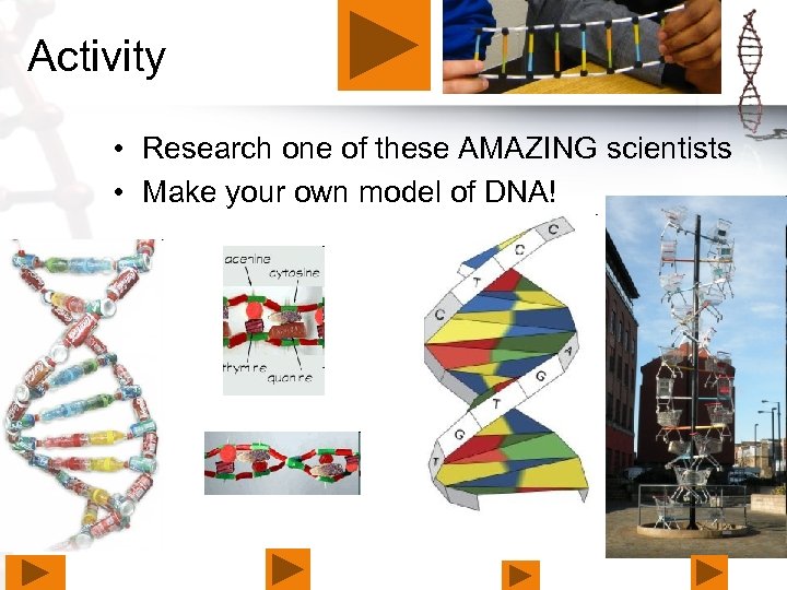 Activity • Research one of these AMAZING scientists • Make your own model of