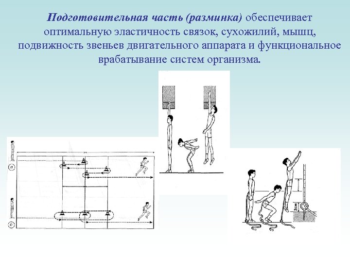 Подготовительная часть (разминка) обеспечивает оптимальную эластичность связок, сухожилий, мышц, подвижность звеньев двигательного аппарата и