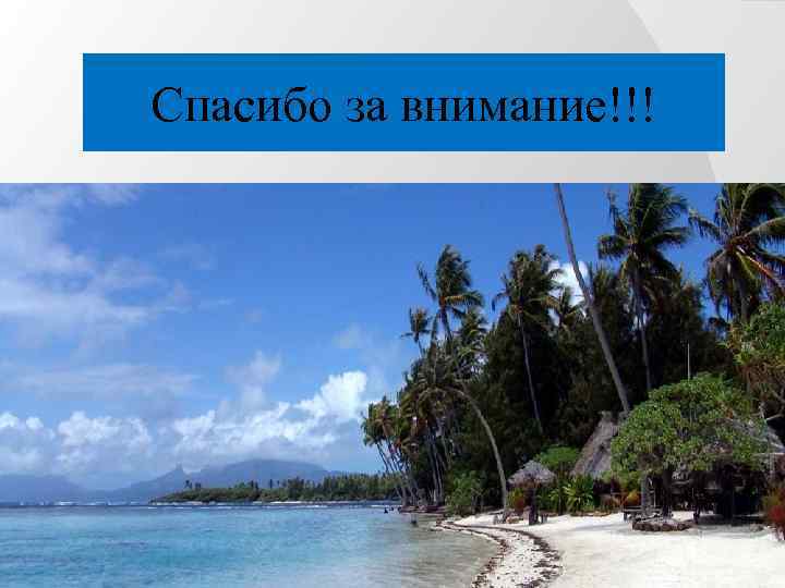 Спасибо за внимание!!! 