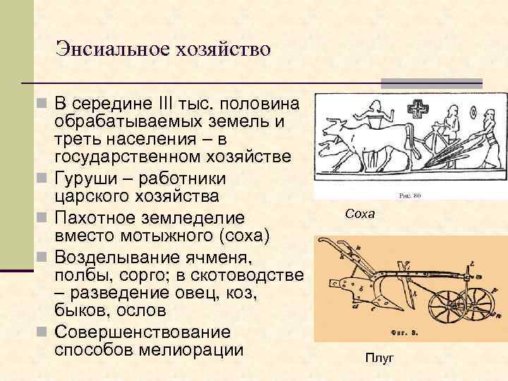 Энсиальное хозяйство n В середине III тыс. половина n n обрабатываемых земель и треть