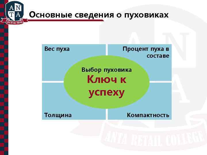 Основные сведения о пуховиках Вес пуха Процент пуха в составе Выбор пуховика Ключ к