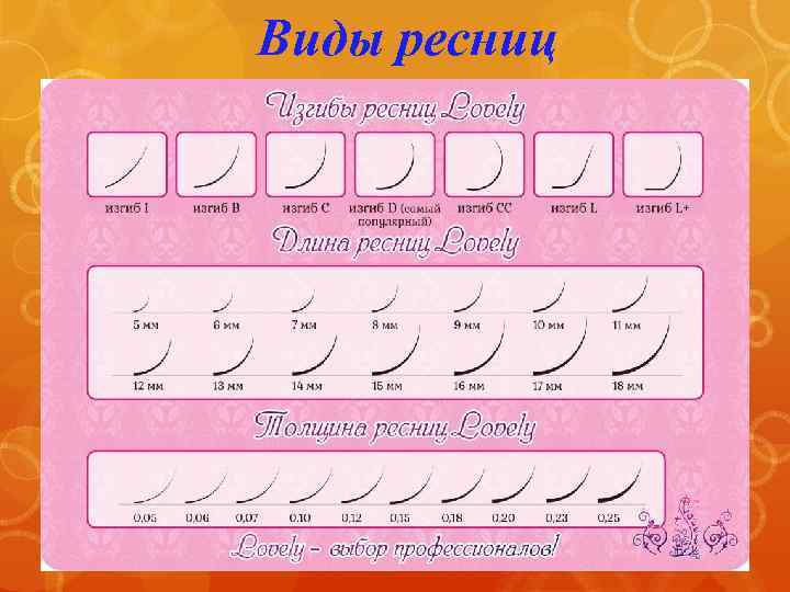 Виды ресниц 