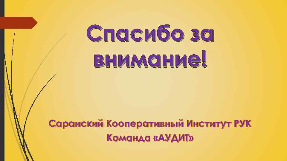 Спасибо за внимание! Саранский Кооперативный Институт РУК Команда «АУДИТ» 