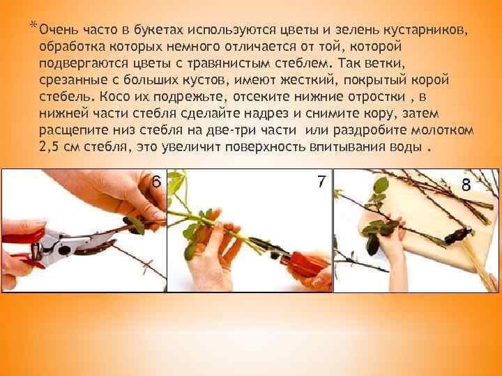 * Очень часто в букетах используются цветы и зелень кустарников, обработка которых немного отличается
