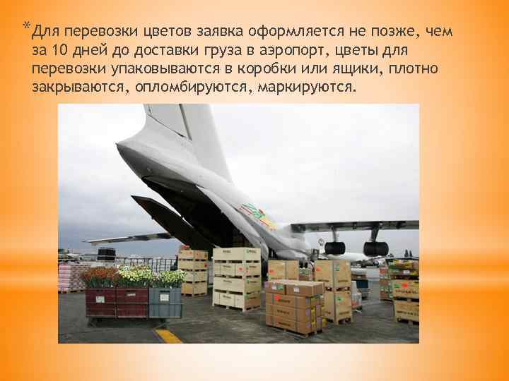 *Для перевозки цветов заявка оформляется не позже, чем за 10 дней до доставки груза