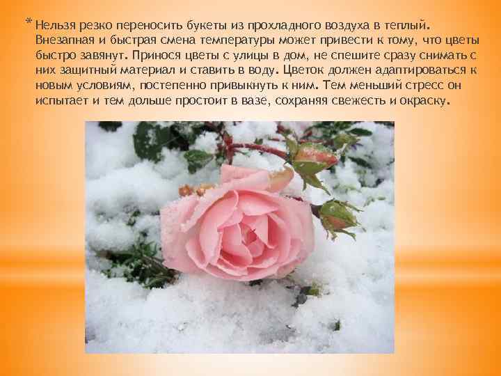 * Нельзя резко переносить букеты из прохладного воздуха в теплый. Внезапная и быстрая смена